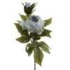 Bujor, green, H56