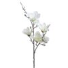 Floare decorativa de primavara, magnolie alba, H90
