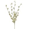 Floare decorativa de primavara, vernil crud, H116