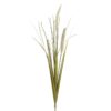Floare decorativa, de camp, 3 fire, frunze subtiri, H89
