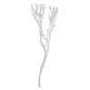 Creanga naturala decorativa, vopsita alb, 70 cm
