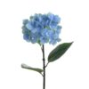 Hortensia decorativa blue, H80